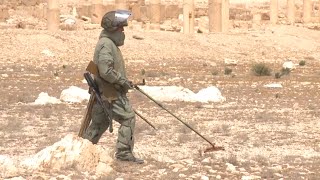 Russian Demining Team Works to Clear up War Torn Palmyra