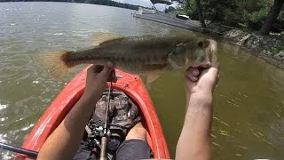 Summer Pigs on Jigs