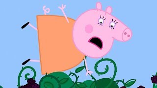 Peppa Pig Français | Le mûrier | 40 Minutes ⭐️ Compilation 2019 ⭐️ Dessin Animé
