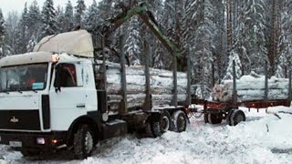 #1029. Тюнинг МАЗ лесовоз