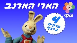 ספיישל הארי הארנב לקטנטנים ופעוטות | משחקים ושירים |  4 פרקים ברצף - במיוחד לקטנטנים