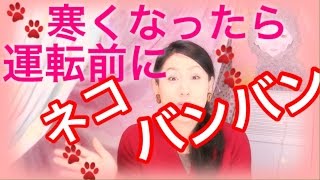 拡散希望！冬のお約束！ネコバンバンをご存知ですか？？猫の命を守る冬の約束／運転前は猫バンバンをお願いします！
