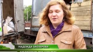 ВЕСТНИК СЕВЕРОДВИНСКА 19.06.13