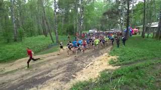 Старт пробега памяти В. Рыцарева 2018