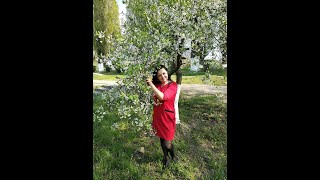 110 р. в день,  Wellness Life +  подписка 105 бб (выгоды)