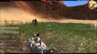 Darkfall UW PvP 6