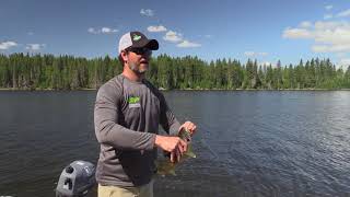 Sportsman's Journal 2018 Ep. 6 Cliff Lake Cache Lake