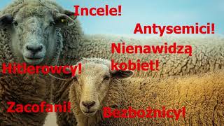 Gdy zadajesz mądre pytania, natychmiast stajesz się wrogiem - samiecweb.pl