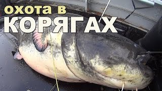 Подводная охота в коряжнике