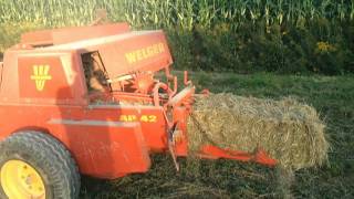 Baliranje 2011