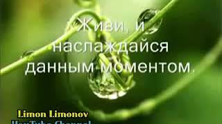 Speechless, repost @Limon Limonov