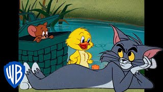 Tom y Jerry en Español ???????? | La primavera se acerca | @WBKidsEspana