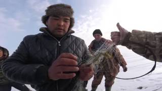 Браконьер метнул нож в егеря