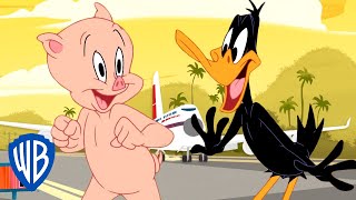 Looney Tunes en Español ???????? | ¡De vacaciones de primavera!