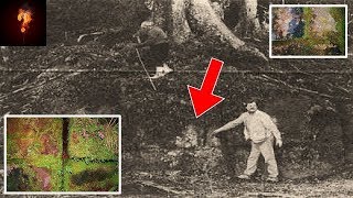 330,000 Year Old Man-Made Wall Found In New Zealand?