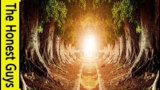 The Halls of the Elven King - LOTR Guided Meditation
