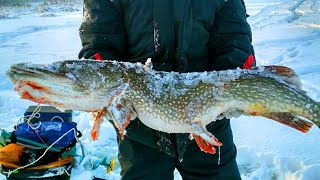 ПРОВЕРКА СЕТИ ЗИМОЙ