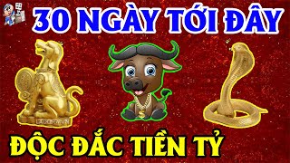 NGHÈO ĐẾN MẤY MÀ THUỘC 3 TUỔI NÀY CŨNG TRÚNG QUẢ ĐỘC ĐẮC TIỀN TỶ GIÀU TO ÔM TIỀN QUYỂN|TỬ VI TÀI LỘC