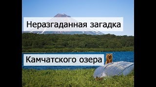 Тайны полуострова Камчатка. Загадка озера Колигер ( Калыгирь ) // The main mystery of Kamchatka