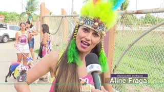 Saiba mais sobre as aves de rapina - Canal Pet - Bloco 3