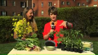 An organic diet can help us avoid consuming harmful chemicals