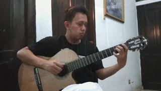 Shawn Mendes, Camila Cabello - Señorita (Fingerstyle Guitar Cover)