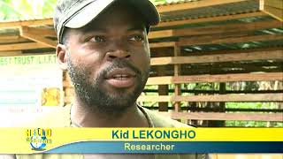 Ebolowa HELLO CAMEROON Foss production   Jani