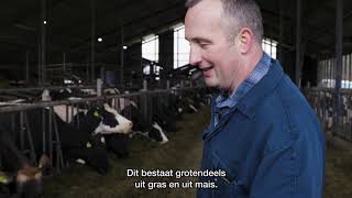 Duurzame melkveehouderij Drenthe Reind Katerberg