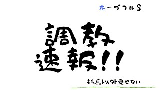 【競馬予想】ホープフルS 2019 〜最終追い切り評価・ワーケアが抜群の動き〜