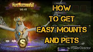 Taichi Panda 3: Dragon Hunter - Easy Mounts and Easy pets [[Feat. XienaYT]]