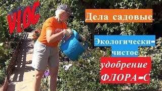 Дачный VLOG. Уникальное удобрение ФЛОРА-С. Гуминовые кислоты