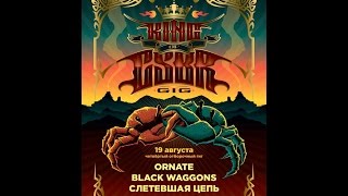 СЛЕТЕВШАЯ ЦЕПЬ CSBR 19.08.16 CLAW BAR
