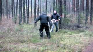 Defence test of caucasian / central asian ovcharkas