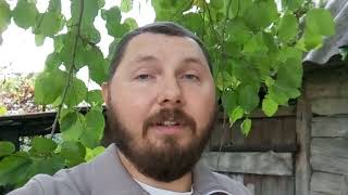 Церковная "любовь" - это душевная, бесовская подделка