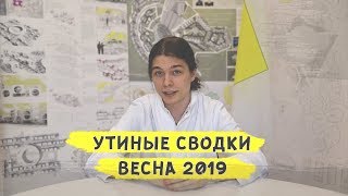 Утиные сводки март + апрель