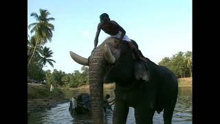 A true love story, Anna and her mahout