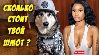 СКОЛЬКО СТОИТ ТВОЙ ШМОТ ? СУЧКА ЗА ЛЯМ И СТИЛЬНЫЙ ХАСКИ! ЛУК НА 1000000