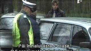 rasmerita - benone sinulescu