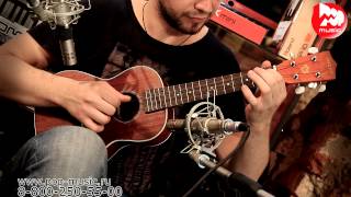 Укулеле ARIA ATU-120