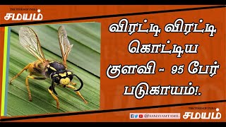 விரட்டி விரட்டி கொட்டிய விஷ குளவி : 95 பேர் படுகாயம்