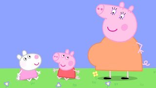 Peppa Pig Français ?Des bébés | Nouveaux Compilation | Dessin Animé