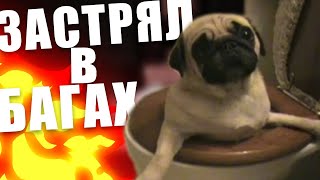 SCP: Secret Laboratory || Багнутый ПУБЭГЭ