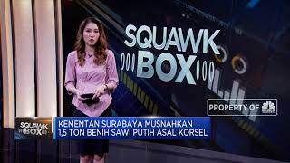 Kementan Musnahkan 1,5 Ton Benih Sawi Putih Asal Korsel