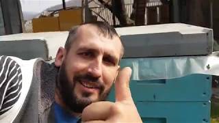 Полетел наш шестирамочник 24.03.2019