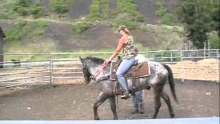 Reno's first ride part 2