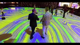 Miguel CHEVALIER Magic Carpets 2016 Milton Keynes (UK)