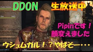 DDON 生放送　エピタフ・ウルテカ西部やウシュムガル？！ヤバそうなドラゴンがいるらしい