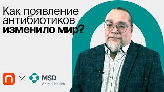 Происхождение антибиотиков / Константин Мирошников на ПостНауке