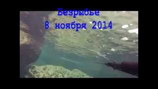43 км 8 ноября 2014
