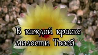 Христианские песни слушать видео   В каждом пульсе сердца ТвоегоBlessing TVworld